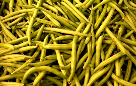 Dutch Green Beans